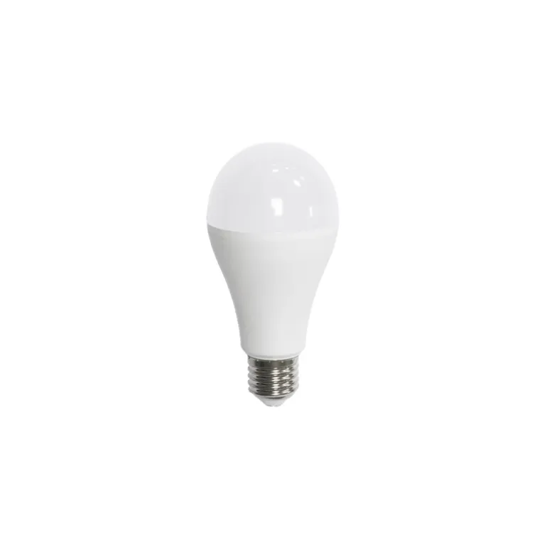 Bombilla estandar led 17w 5000k E27