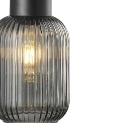 Lámpara de techo colgante 1 luz Galio 1xE27 acabado metal negro cristal fumé estilo vintage 20cm Ø