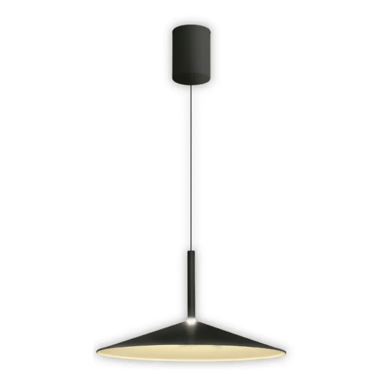 Lámpara de techo colgante Opava Negro LED 18w 3000k 47.5CM Ø