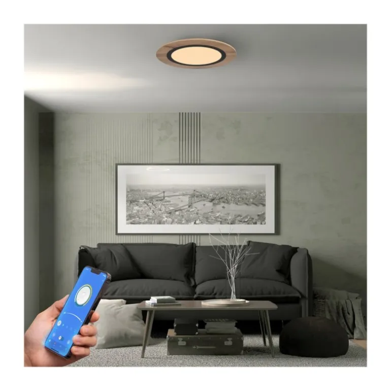 Plafón Smart Hasbi 20w